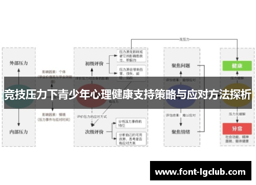 竞技压力下青少年心理健康支持策略与应对方法探析