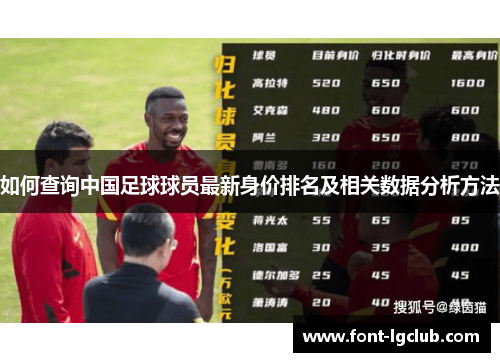 如何查询中国足球球员最新身价排名及相关数据分析方法
