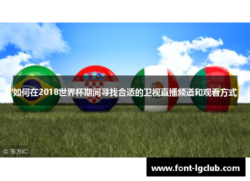 如何在2018世界杯期间寻找合适的卫视直播频道和观看方式 如何在2018世界杯期间寻找合适的卫视直播频道和观看方式