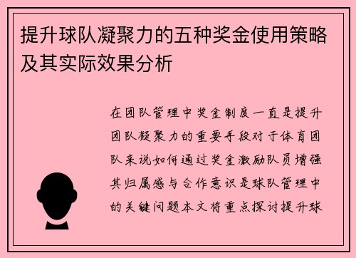 提升球队凝聚力的五种奖金使用策略及其实际效果分析